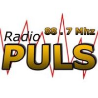 Puls logo