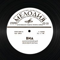 ВИА СССР logo