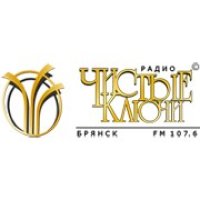Чистые Ключи logo