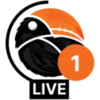 Big2 logo
