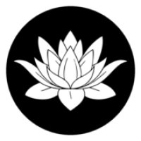 Mirobyte logo