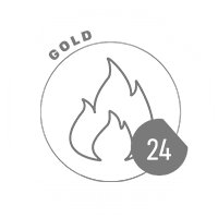 GOLD 24 logo