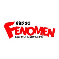 Fenomen 256 logo