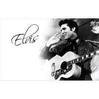 Elvis And Company logo