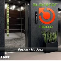 113.FM Elevator logo
