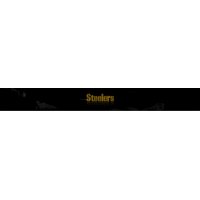 Steelers Nation Radio logo