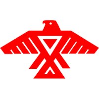 Eclectic001 Turtle Island Ojibwe Edition logo