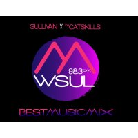 WSUL logo