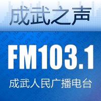 成武综合广播 logo