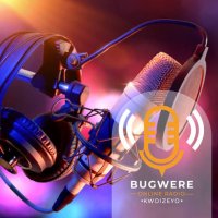 Bugwere Online Radio logo