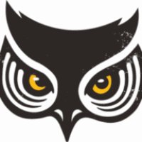 Owl Radio logo