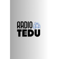 RadioTEDU Lo-Fi logo