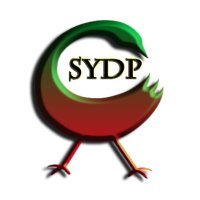 WSYP-LP 95.1 FM - Birmingham, AL - Sankofa Revolutionary Radio logo