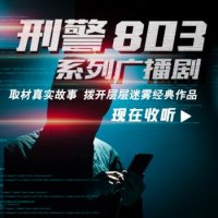 刑警803 logo