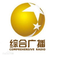 辽宁之声 logo
