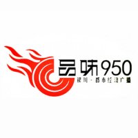 银川都市经济广播 logo