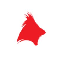 sistema cardenal valledupar logo