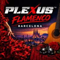 Flamenco Barcelona logo