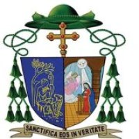 Divine Mercy Radio and TV Service logo