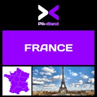 PlixSend France logo