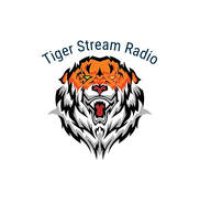 WUCR 107.9 "Tiger Stream Radio" - Lake Butler, Florida logo
