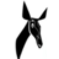 Radio Okapi logo