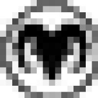 Wildmountain Radio logo