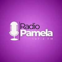 Radio Pamela FM 107.3 logo
